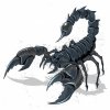 scorpion-bug-horoscope-zodiac-vector_67811-267.jpg